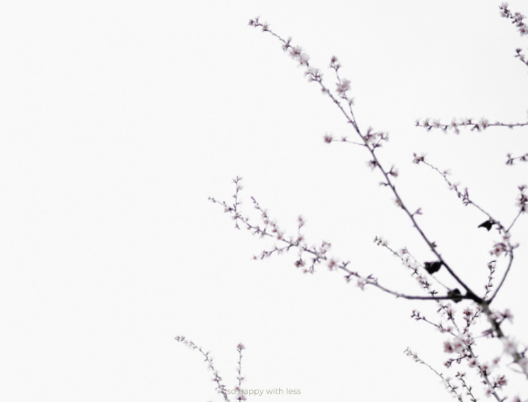 so-happy-with-less-imagem-10-pequenos-passos-minimalistas-que-podes-dar